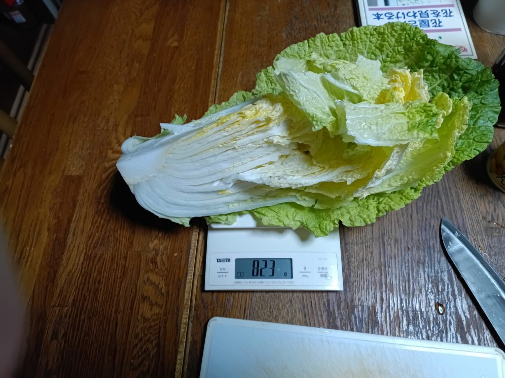 1216　4つ割りで823g。いつもの白菜の3割増し位ある。